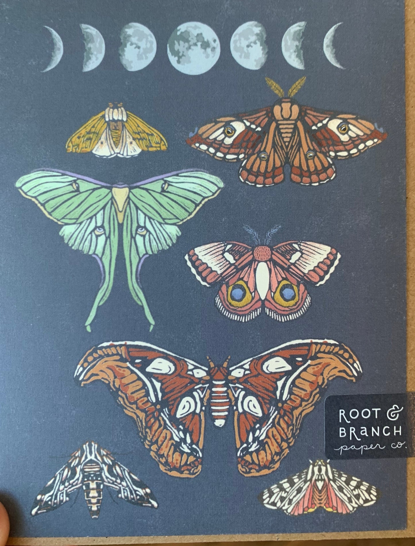 Moonlit Moths Everyday Greeting Card -
