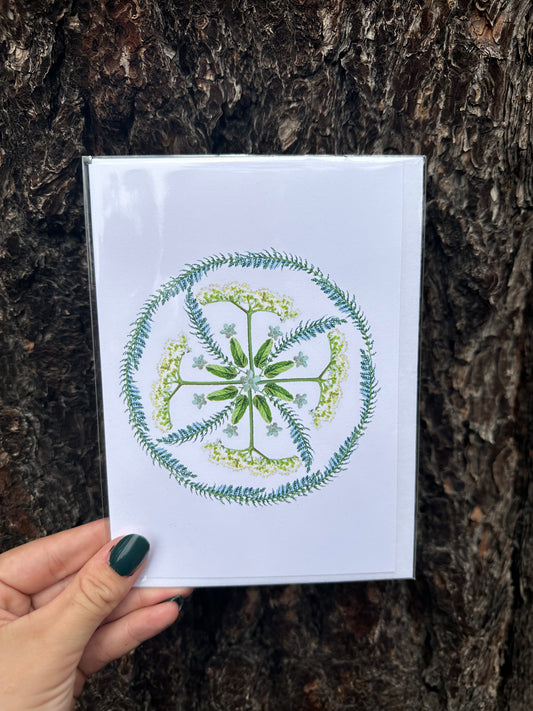 Plant Medicine Mandala Cards