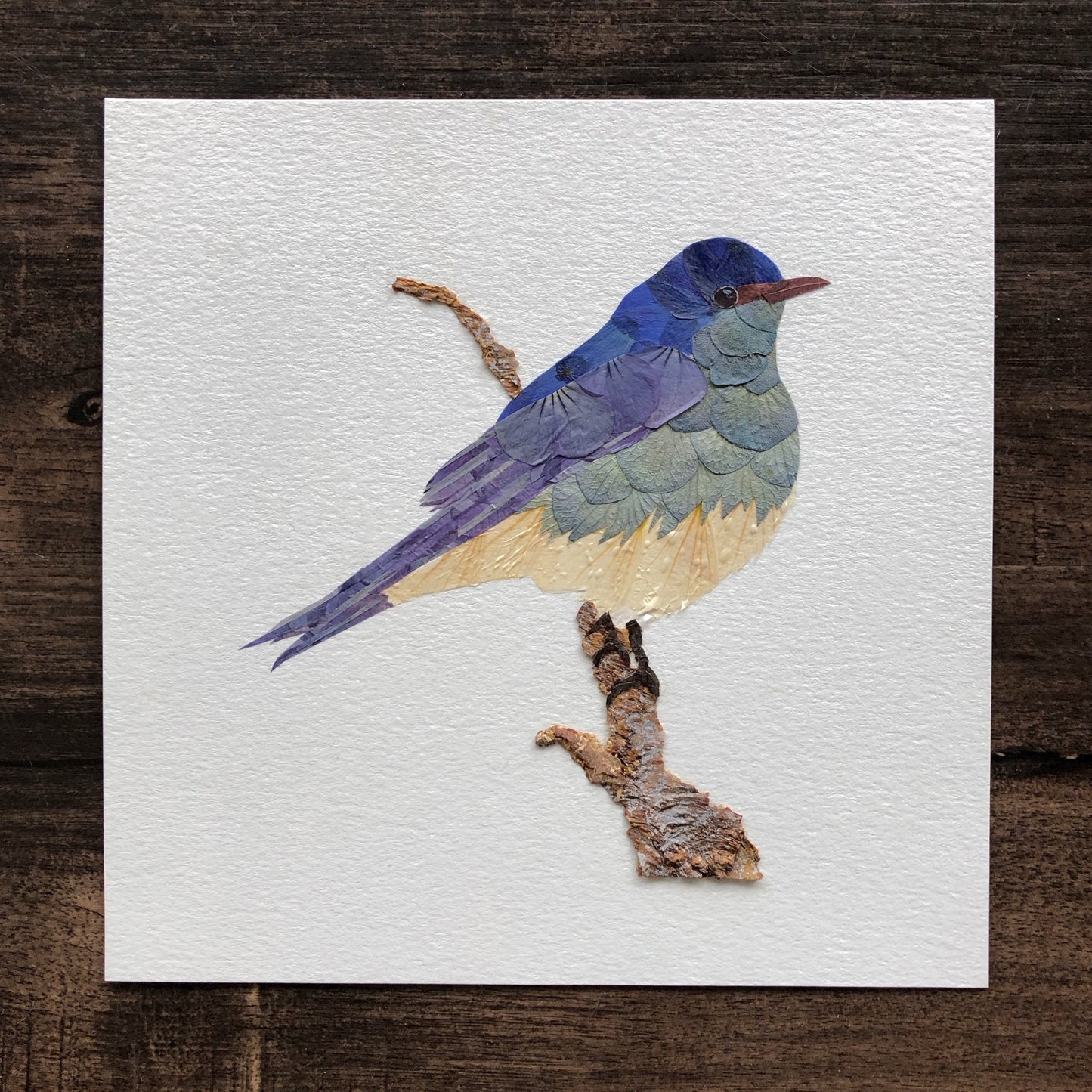 Mountain Blue Bird Print