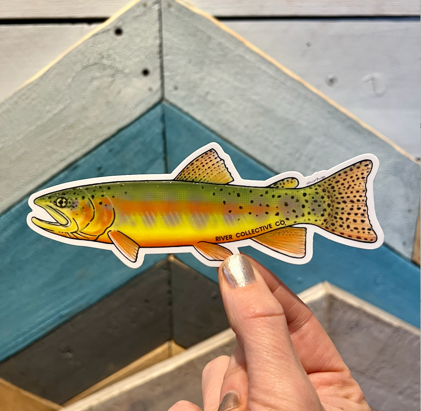 River Collective Trout Stickers