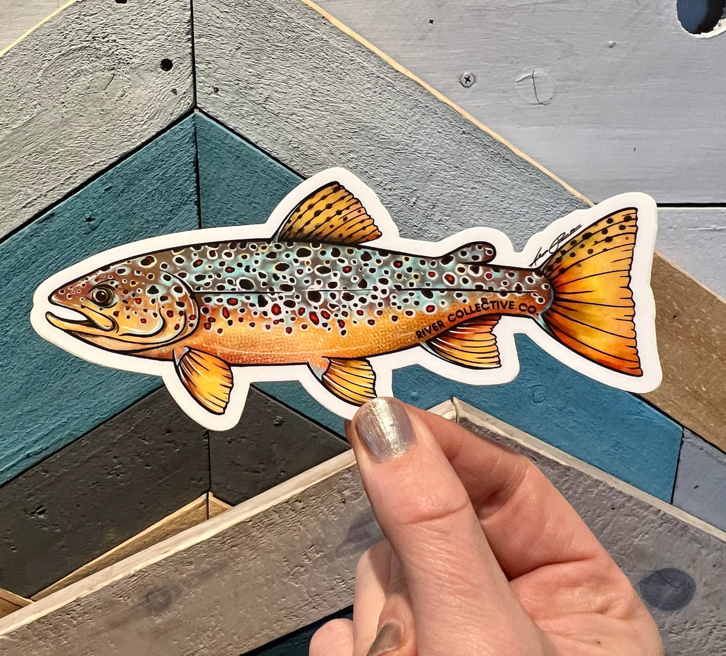 River Collective Trout Stickers