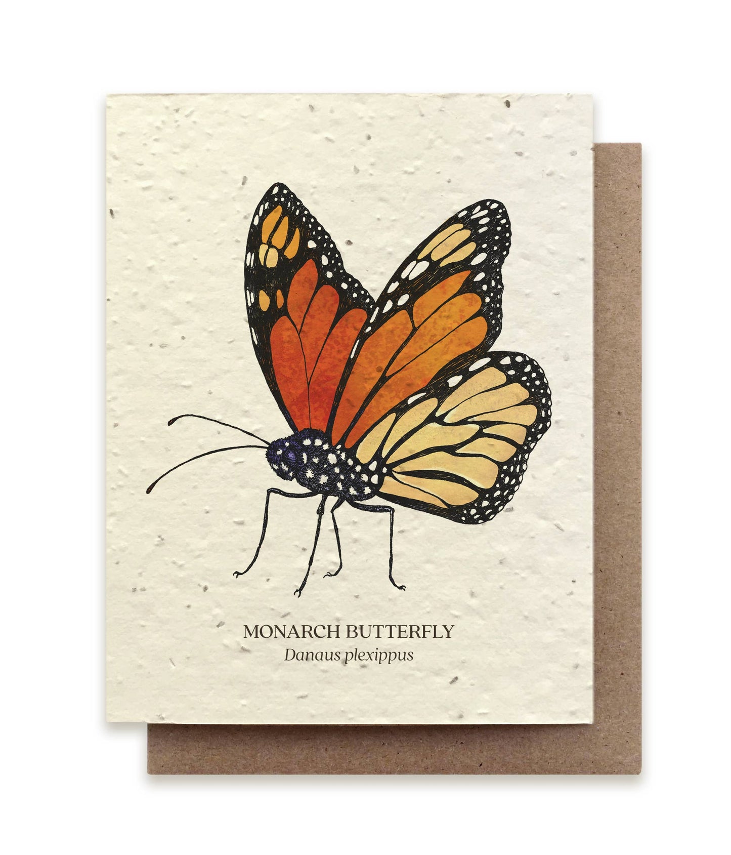 Monarch Butterfly  - Plantable Seed Card