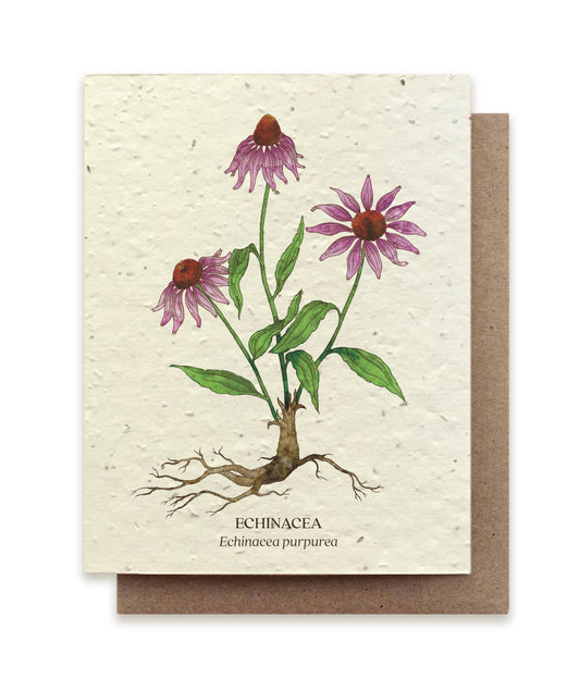 Echinacea - Plantable Seed Card