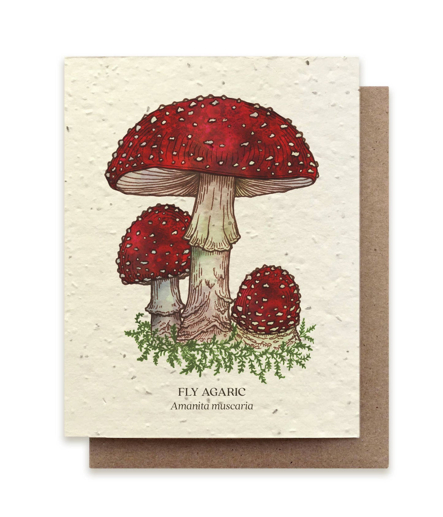 Fly Agaric Mushroom Greeting Cards - Plantable Seed Paper